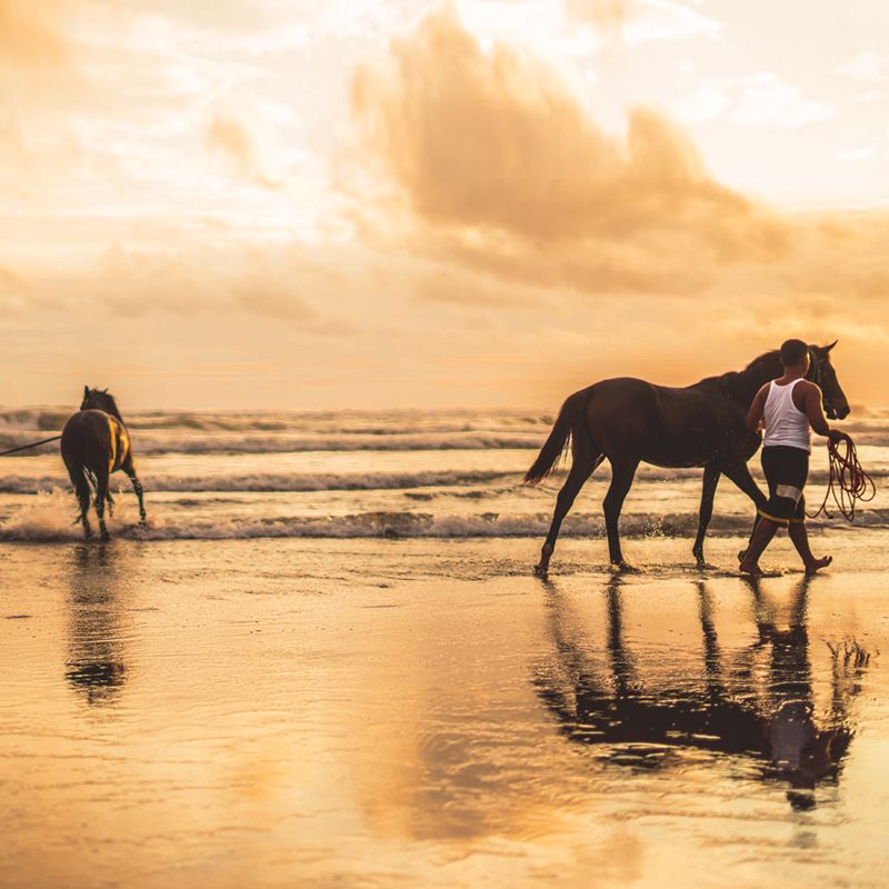 Rutas a caballo por Marruecos.